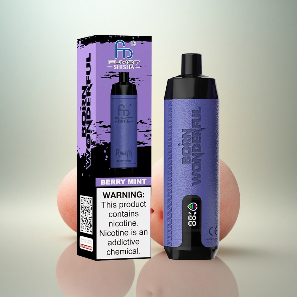 RandM Fumot Shisha 10000 Puffs Bär Mint 850 mAh 18ml 0,5% Nikotin