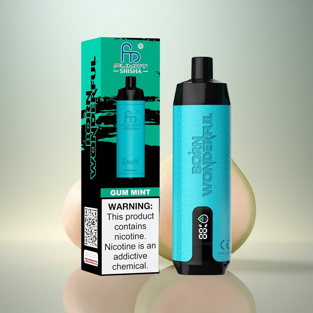 RandM Fumot Shisha 10000 Puffs Tuggummi Mint 18ml 850mAh 0.5% Nikotin