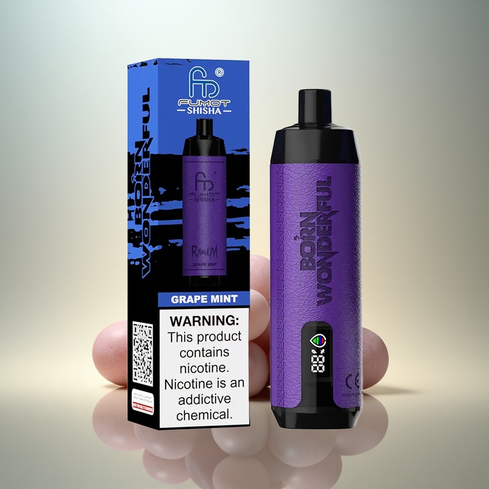 RandM Fumot Shisha 10000 Puffs Vindruva Mint med LED & 850 mAh